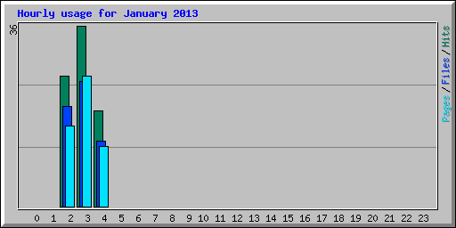 Hourly usage for January 2013