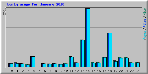 Hourly usage for January 2016