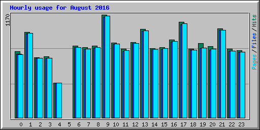 Hourly usage for August 2016