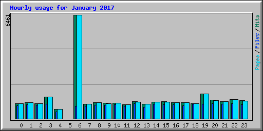 Hourly usage for January 2017